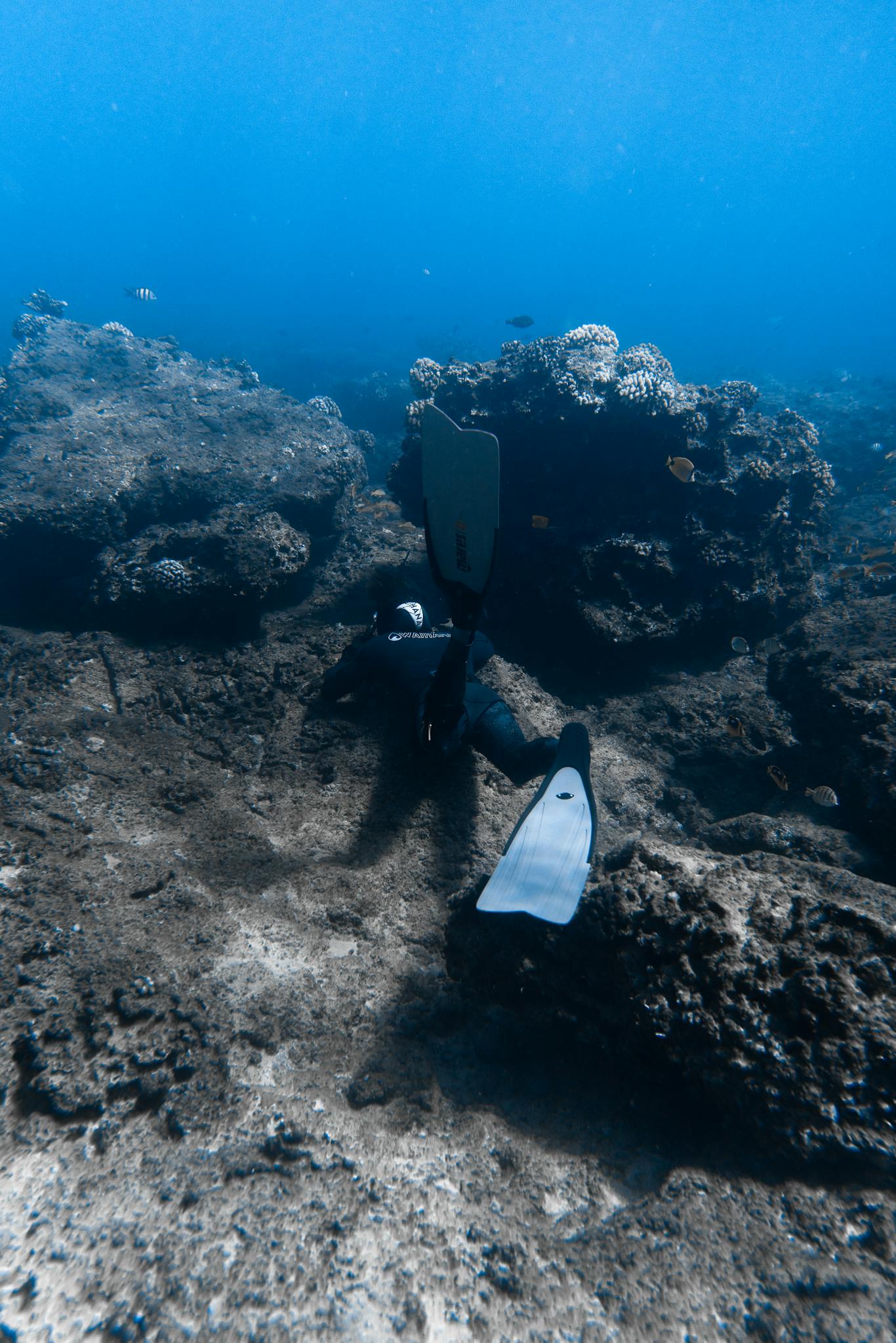 Snorkeling na Malcie